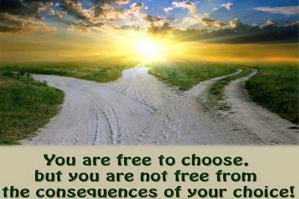 Eres Libre Para Elegir
