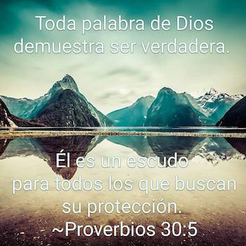 Proverbios 30:5